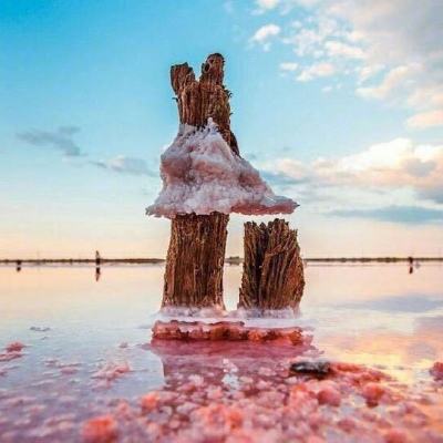 云开平台app最新版下载手机版