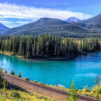 澳门精准正版资料大全手机app下载截图